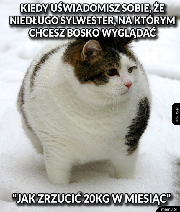 Już niedługo Sylwester