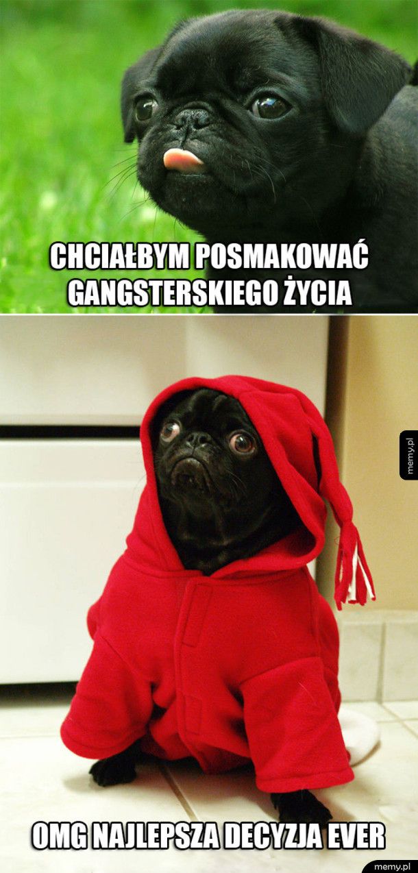 Gangsta życie