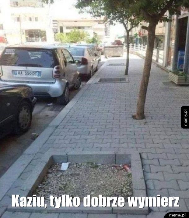 Sie robi szefie