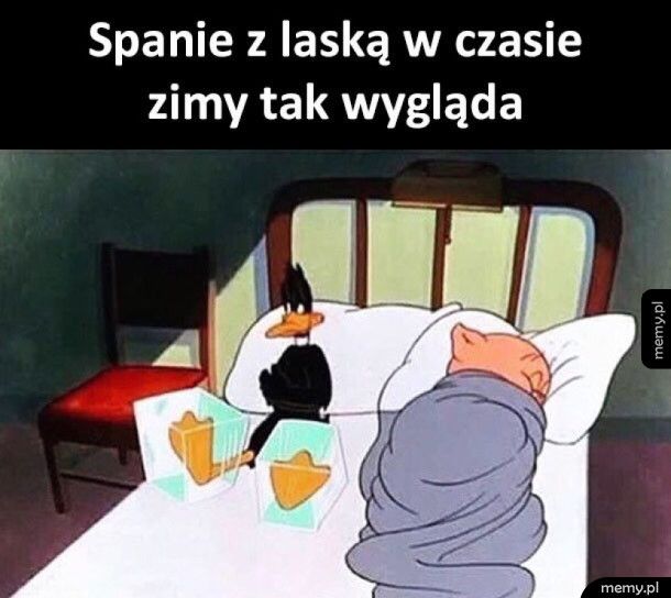 Spanie z laską