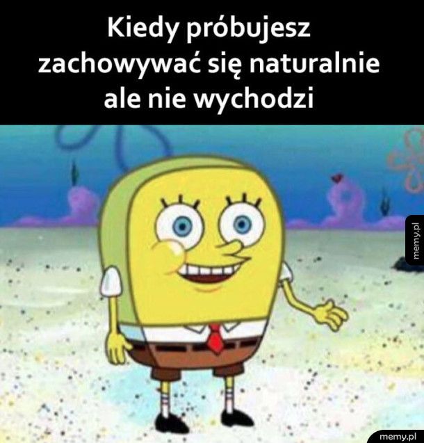 Prawie się udało