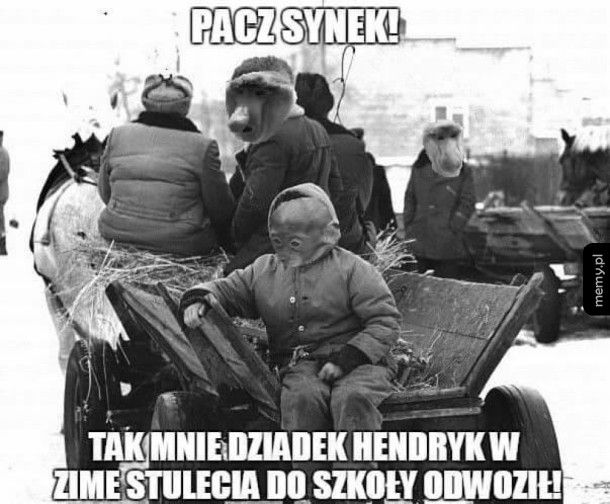 Patrzy synek