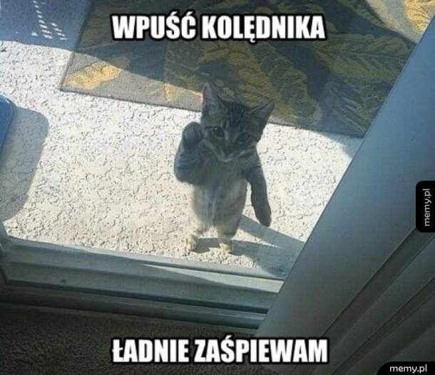 Kolędnik