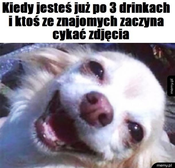 Zdjęcia