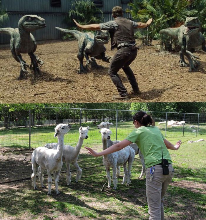 Pracownicy Zoo w scenie z Jurassic World