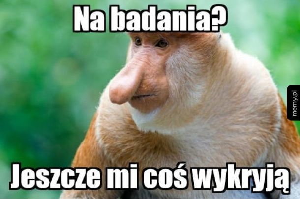 Nie ma co psuć sobie humoru