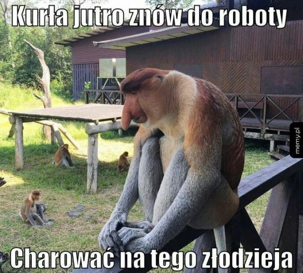 I znowu jutro do roboty