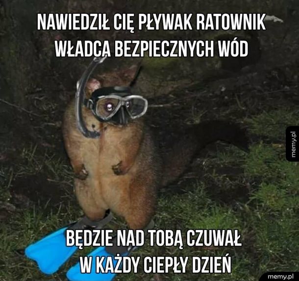 Miłego dnia