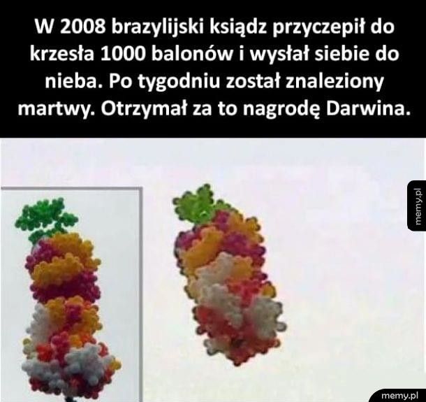 Brawo typie