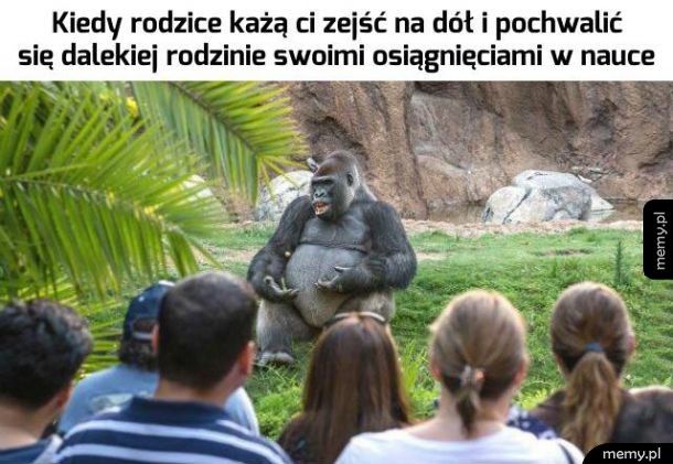 Dostałem dwójkę z wuefu, z reszty przedmiotów słabiej