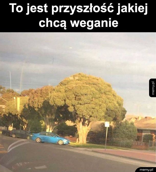 Weganie