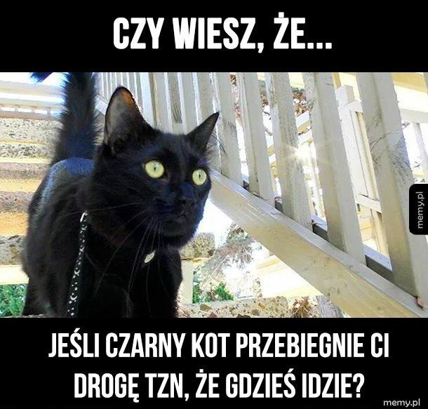 Czy wiesz, że