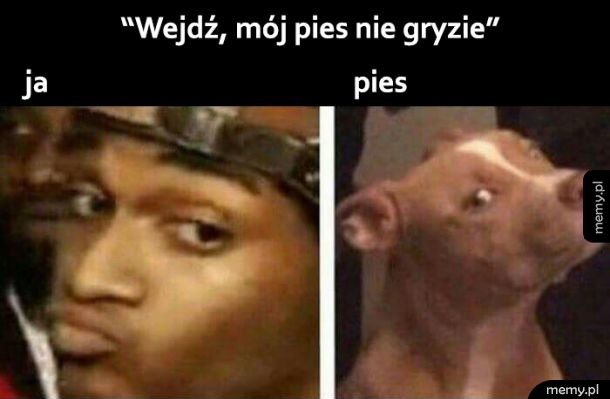 Wejdź śmiało