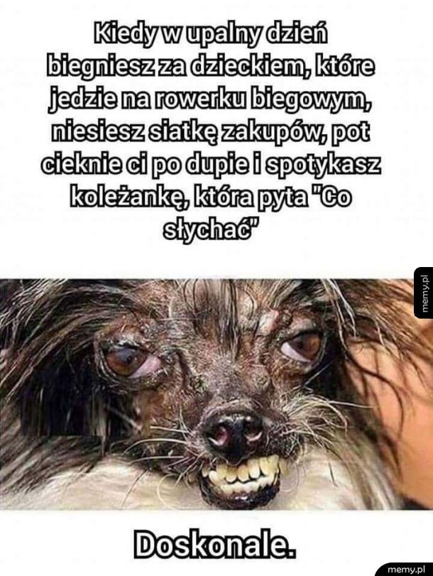 Wszystko gra