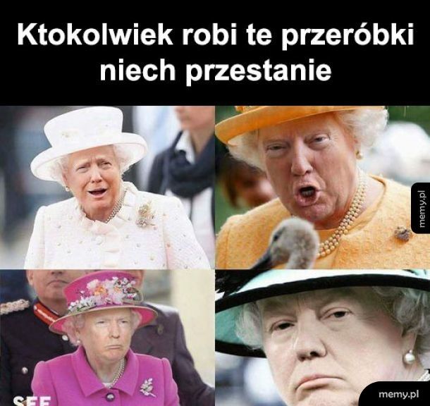 Królowa Trump