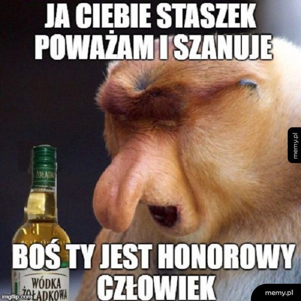 Prawdziwy szacunek