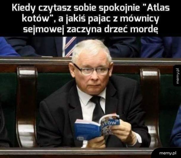 Jakiś pajac drze mordę