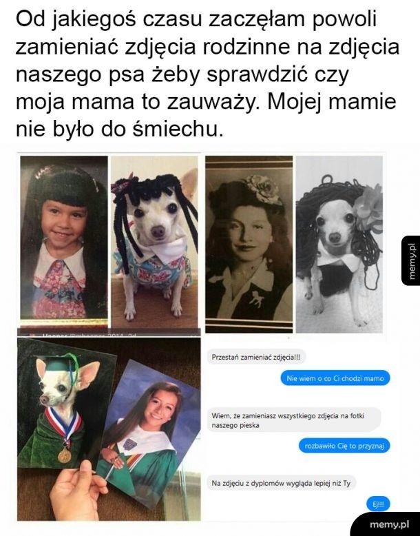 Najlepszy żarcik ever