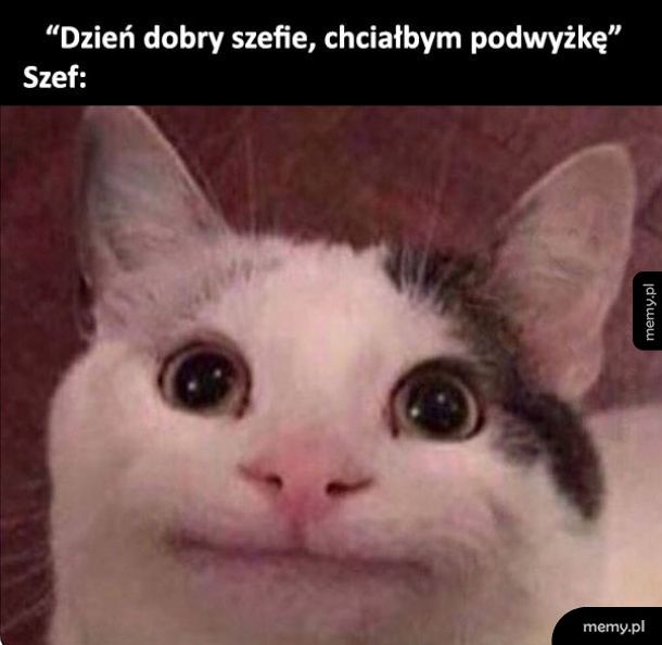 Tymczasem gdzieś w świecie