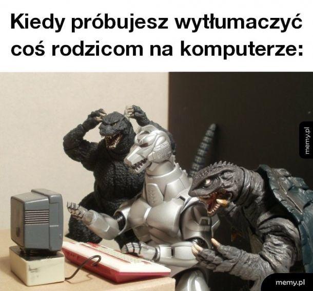 Tak to wygląda