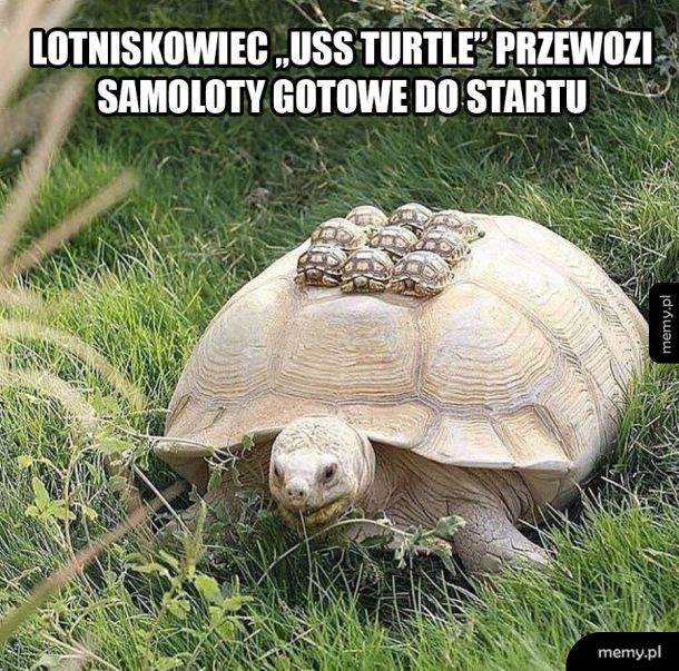 Lotniskowiec Turtle