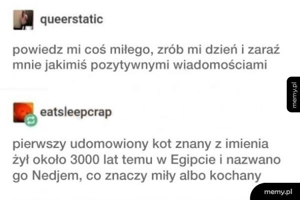 Coś miłego