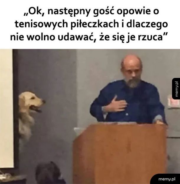 Kolejny gość