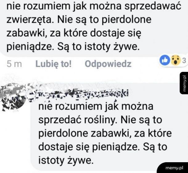 Nazwisko kolesia