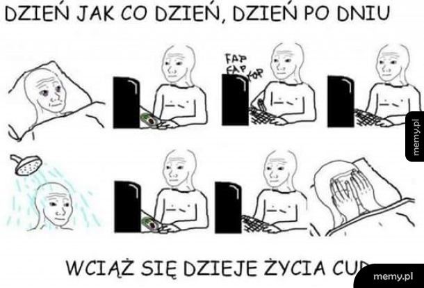 Życia cud