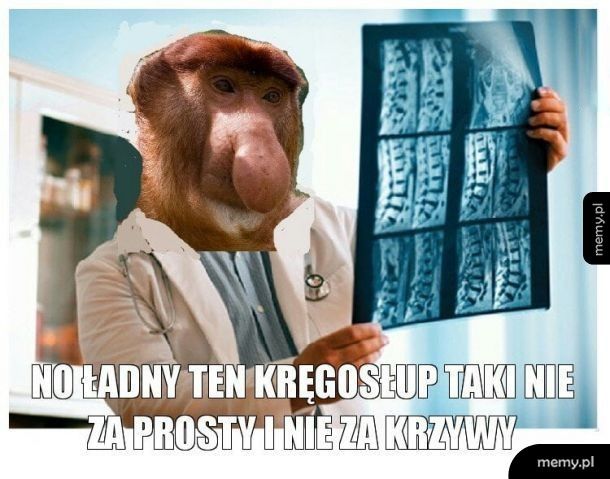 Spoko kręgosłup