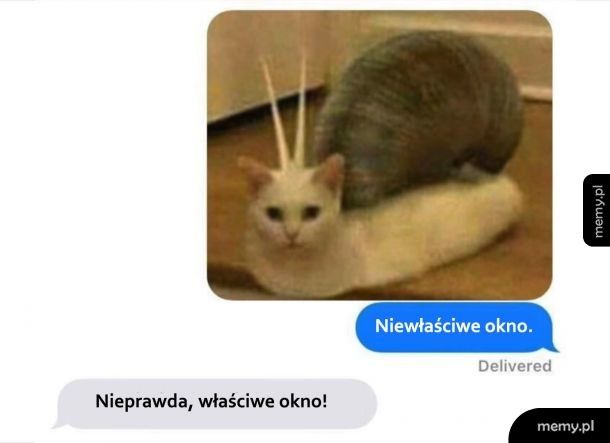 Chcę więcej!