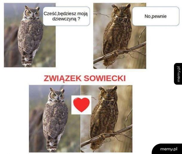 Heheszki