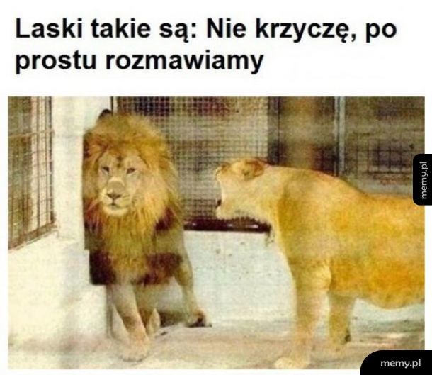 Laski takie są