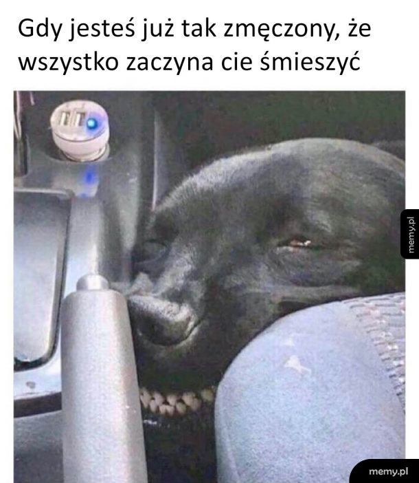 Zmęczenia wiele...