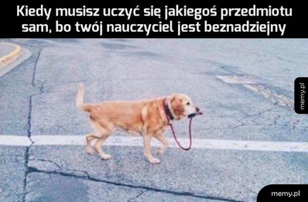 Za co mu płacą