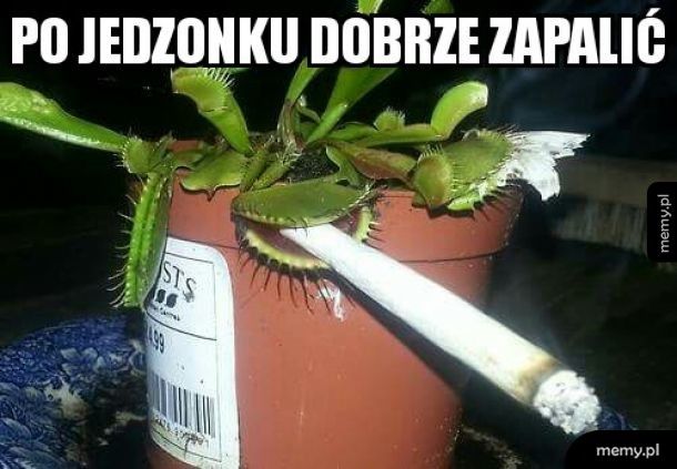 Po jedzonku...