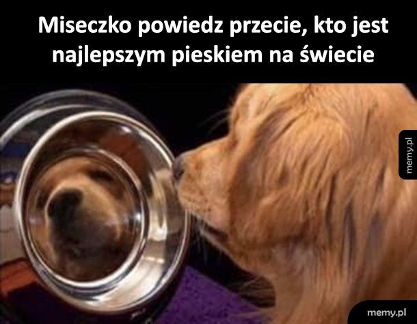 Miseczko