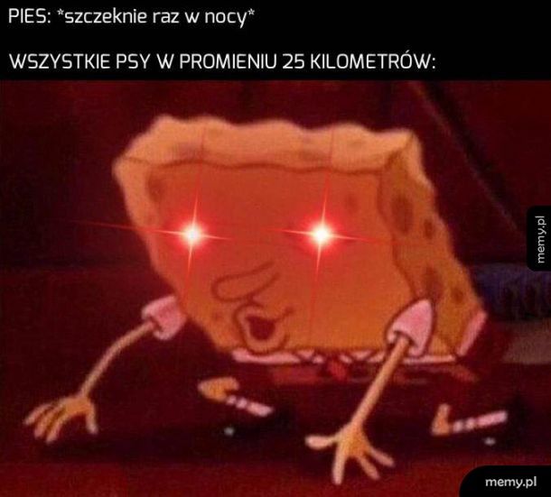 Opamiętajcie się