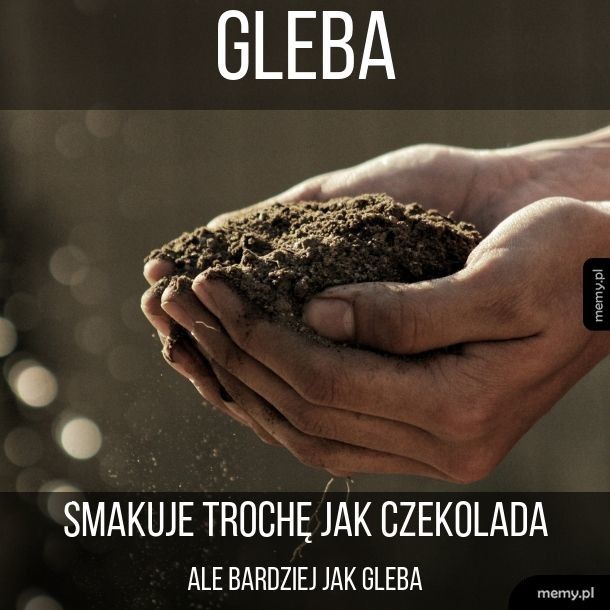 Gleba