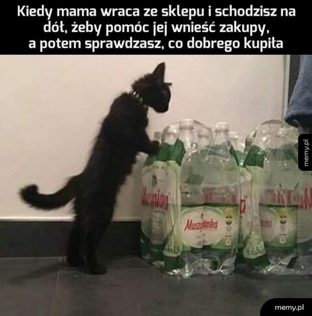 Kupiłaś coś słodkiego?