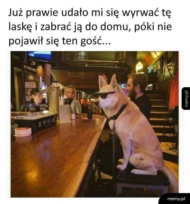 Nie masz z nim szans