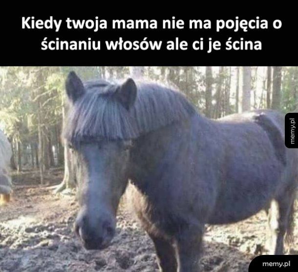 Dzięki mamo