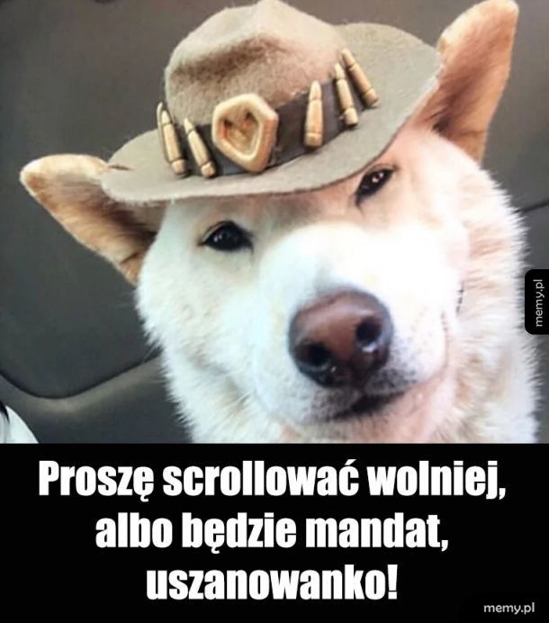 Policjanteł