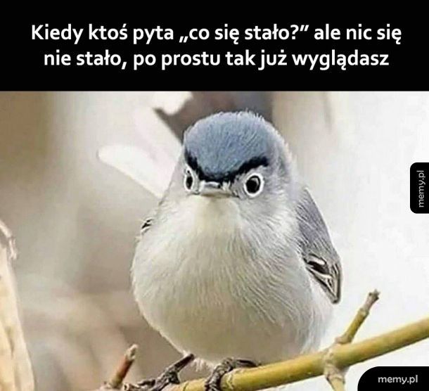 Tak mam