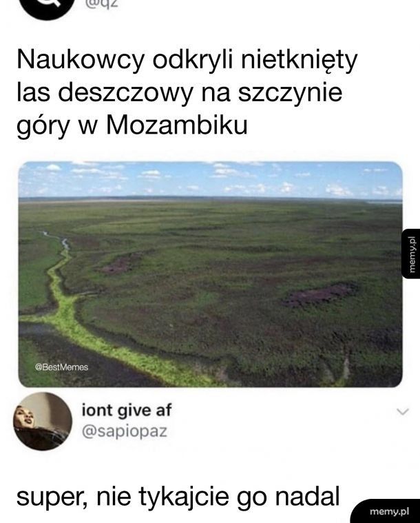 Nietknięty las deszczowy