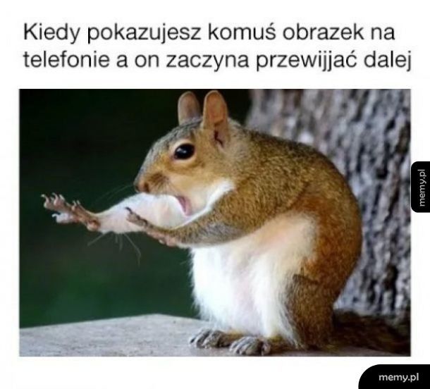 Nie przewijaj!