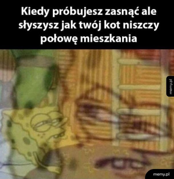 Kiedy próbujesz zasnąć