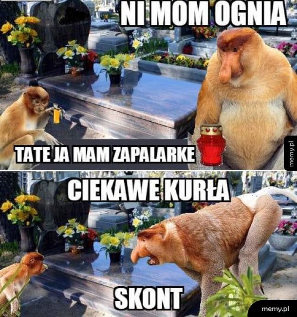 Kto pamięta?