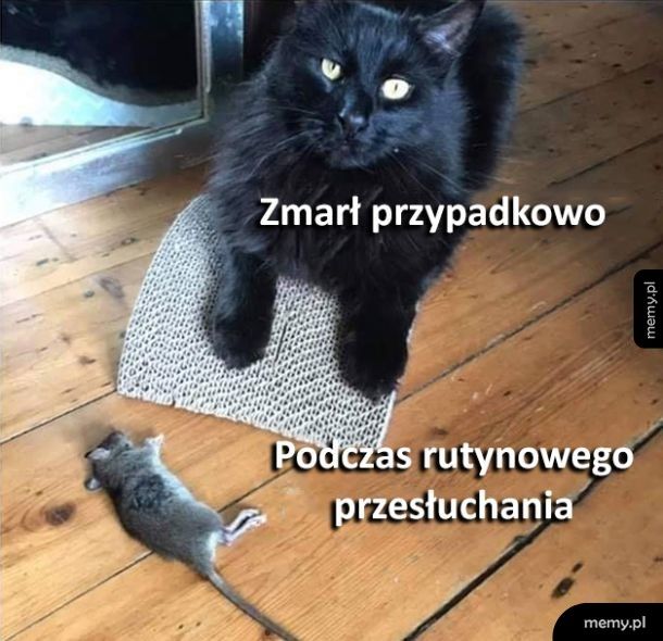 To był wypadek