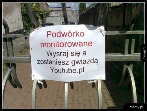 Podwórko monitorowane